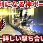 世界一詳しい撃ち合い実践解説！初心者必見！レイスの強いポータルの使い方も！【APEX LEGENDS立ち回り解説】