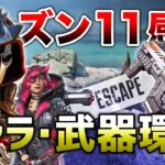 【APEX LEGENDS】シーズン11 キャラ・武器環境の感想！！【エーペックスレジェンズ】