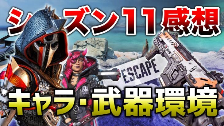 【APEX LEGENDS】シーズン11 キャラ・武器環境の感想！！【エーペックスレジェンズ】