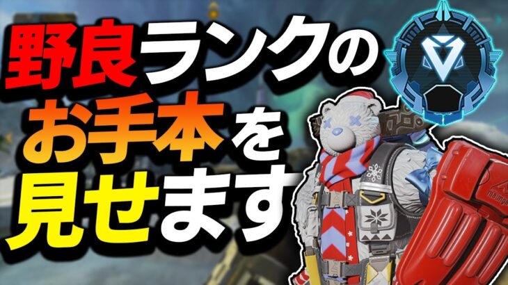 【APEX】野良ランクをやる人はこれぐらい出来ているとダイヤやマスターを目指す時に安定するお手本の動画【s11ランクマ/ゆふな】