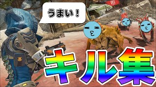 【Apex】りんしゃんつかいシーズン11の思い出キル集