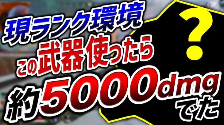 【APEX LEGENDS】現ランク環境でこの武器使ったら、約5000ダメージ出た！！【エーペックスレジェンズ】