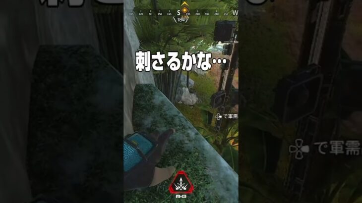 【APEX】ハイド中に下を見下ろすとハイド中のレイス発見！前に進むにはやるしかない！このアークスターで！ #shorts