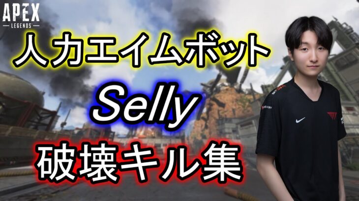 【Apex】人力チートSelly 最強すぎるキル集