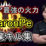 【Apex】アジア最強級プレイヤーKaronPe 超絶キル集