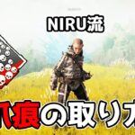 NIRUの流儀 爪痕の取り方【APEX LEGENDS】