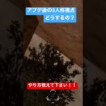 (あるある)apexアプデ後、バグ多すぎ！3人称視点どうするの！？