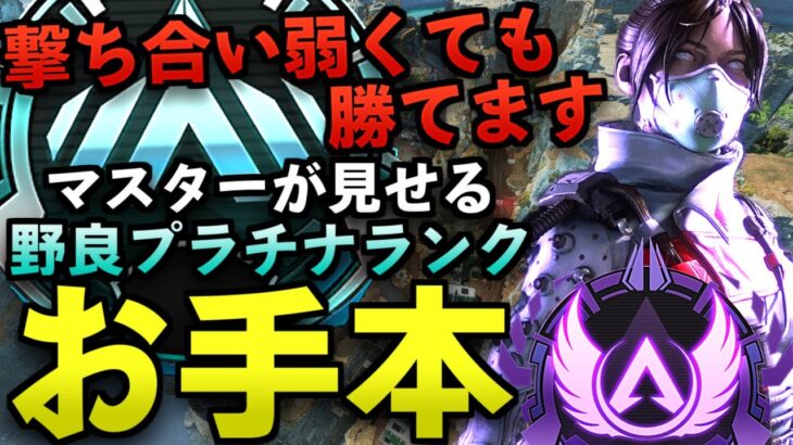 【Apex解説】撃ち合い弱くても勝てる。野良プラチナランクのお手本をマスターがお見せします。【Apex Legends/エーペックスレジェンズ】