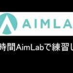 【Aim Lab】FPS初心者が600時間AimLabをした結果。