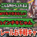 ジップレールで戦闘を有利にするキャラコンにハルも唖然！お手軽でPADでも可能【APEX翻訳】