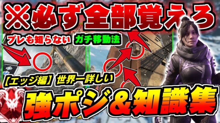 【ランク楽勝】全部知ってる人いるの？ワールズエッジで絶対に抑えて欲しい強ポジ&ガチ知識集【ApexLegends】