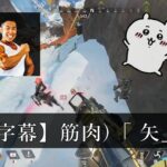 キャラコンしか取り柄のないゴミ、気づく。【SqLA APEXハイライト 17】シーズン10