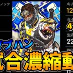 【Apex】ソロトリオはミラージュ使っとけば余裕よ【ミラージュ日本１位】