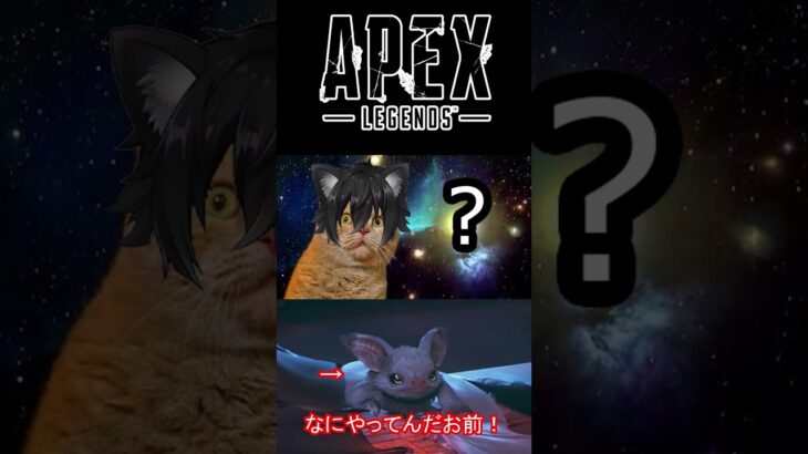 【APEX】今回のアプデでヴァンテージのエコーが…