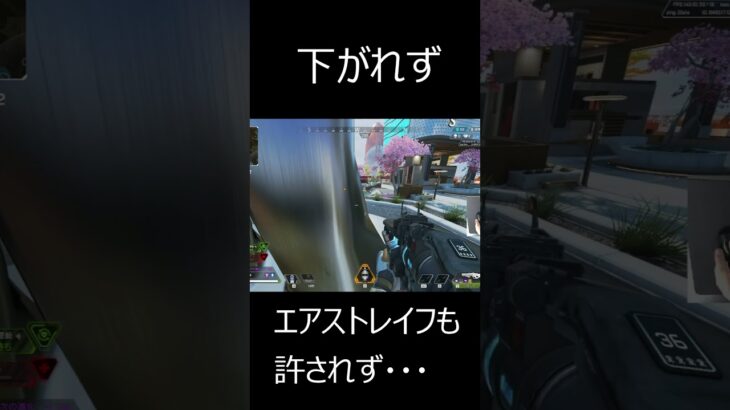 【 Apex Legends】ローバはオリンパスでは気をつけて(詰み) #Shorts