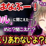 花芽すみれの「はなぶー」が「ア〇ル」に聞こえて大爆笑する英リサｗ【小森めと ぶいすぽ 切り抜き】