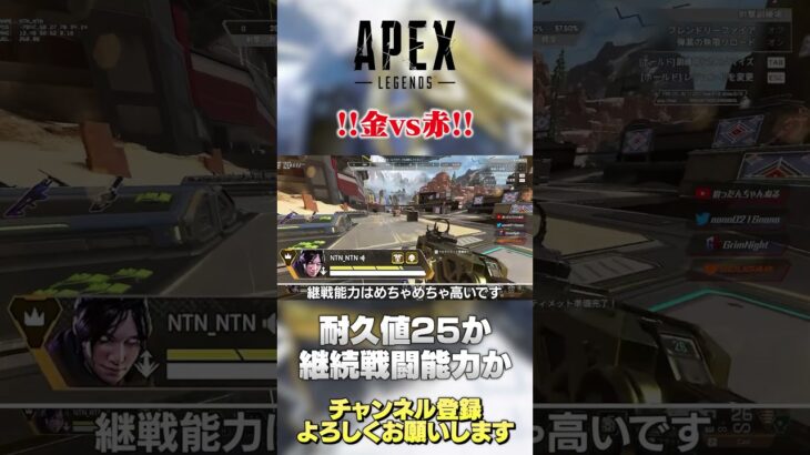 【 APEX 】赤アーマー派？金アーマー派？最大体力を取るか継戦能力を取るか！あなたはどっち？【 のったん エペ解説 】 #apex #エペ #のったん #apexlegends #エペ解説