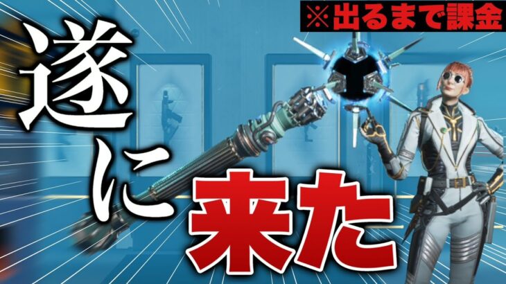 【神回】ホライゾンのスパレジェが来たのでガチャを回したら奇跡しか起こらなかったｗｗｗｗｗｗｗｗ‐Apex legends-