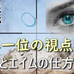 【BF5 実況】FPSスナイパー世界ランク1位の視線の動き見せます！【アイトラッカー】