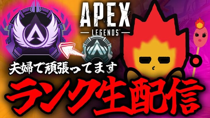 【APEX】バニホキャラコン武者修行　＃2