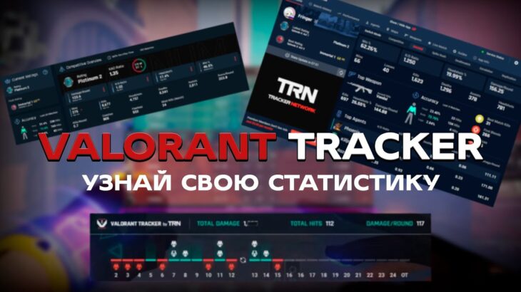 VALORANT TRACKER.GG – Как отследить свою статистику?Как узнать ранги оппонентов в валорант?