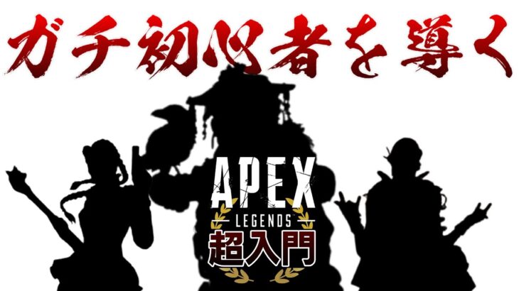 【APEX】これからAPEXをはじめる超初心者🔰に絶対オススメ🔥なレジェンドたち【エーペックスレジェンズ】