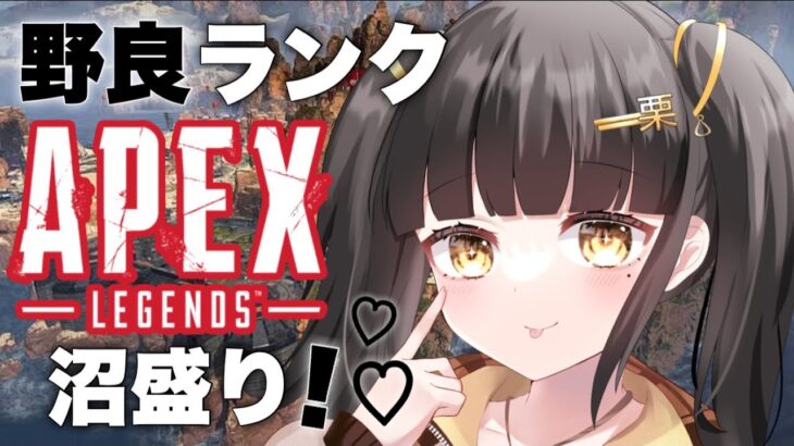 【 Apex Legends 】 ソロランク / ゴールド3 沼ランク～！雑談しながら！初見さん大歓迎です！  【栗木マロン】 【 女性配信 / VTuber 】