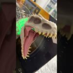 INDOMINUS IN ACTION! NewDino Trackers Camouflage ‘N Battle Indominus Rex / collectjurassic.com