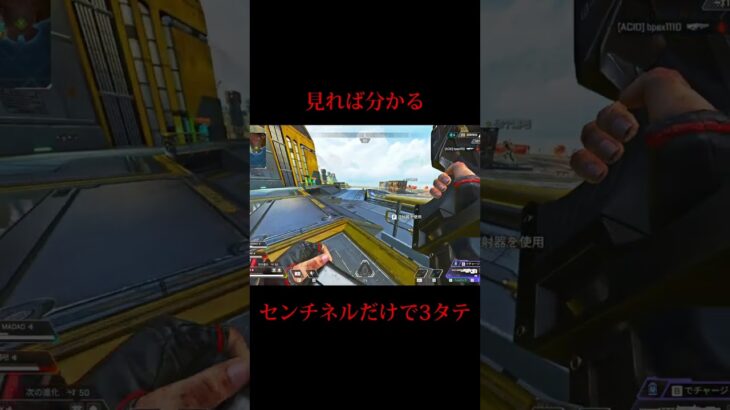 初動センチネルだけで3タテしてみた【Apex Legends】#apex #shorts