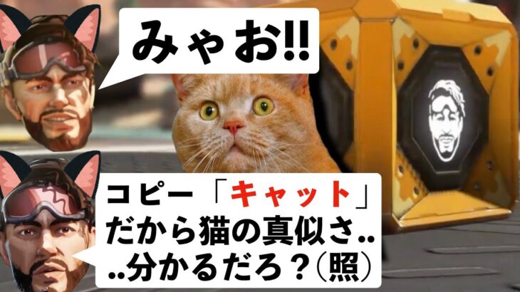 ミラージュの猫は刺激が強すぎるコピーキャットのAPEXセリフまとめ