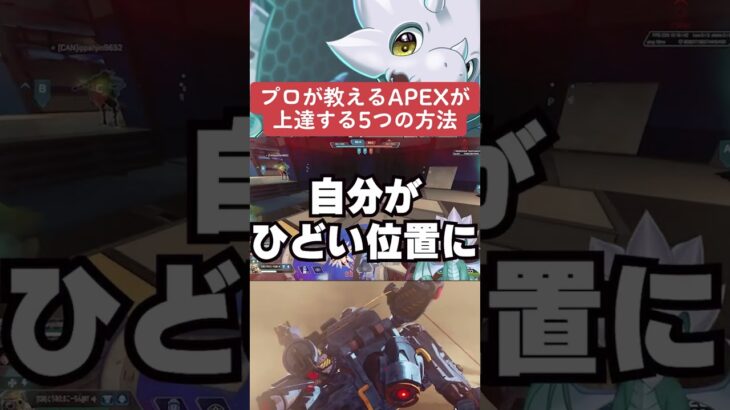 【APEX】速報、プロが教えるAPEXが上達する5つの方法とは！？【情報】　 #apexlegends