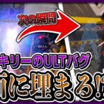 【Apex】ヴァルキリーの”ウルトバグ”で敵にデリバリーをしてみた【秘密結社シュヴァルツシルト】