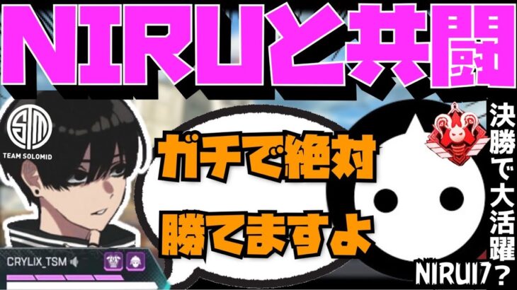 【Crylix】圧倒的存在感！？ALGSプロリーグを懸けた決勝に挑戦するCRYLIX【日本語字幕】【Apex】【Crylix/NIRU/zkYuTa/切り抜き】