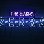 【THE SHABLES】PUBG  アイトラッカーテストテスト