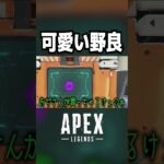 【APEX】反応が可愛い野良のヴァルキリー【#shorts 】