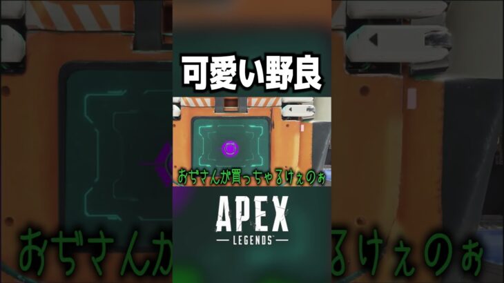 【APEX】反応が可愛い野良のヴァルキリー【#shorts 】