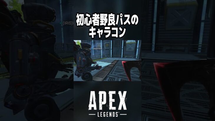 【APEX】キャラコン練習中の可愛い野良www【#shorts 】