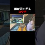 沼すぎる敵を3タテしてみた【Apex Legends】#shorts #short #apex #apexキル集 #猫ミーム