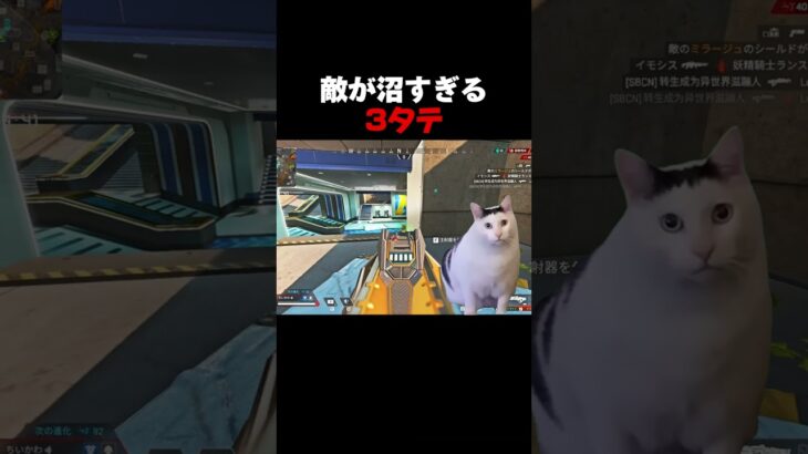 沼すぎる敵を3タテしてみた【Apex Legends】#shorts #short #apex #apexキル集 #猫ミーム