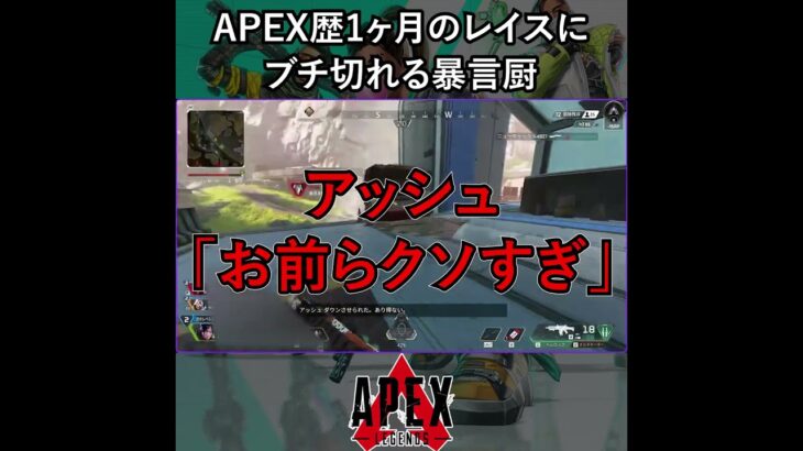 APEX歴1ヶ月のレイスにブチ切れる暴言厨【APEX暴言VC集】