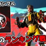 野良限定のランキング戦『APEXランブル』が面白すぎる件 33kill 7800dmg【APEX LEGENDS】