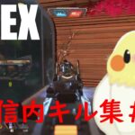 【APEX】配信内キル集【キーマウ】