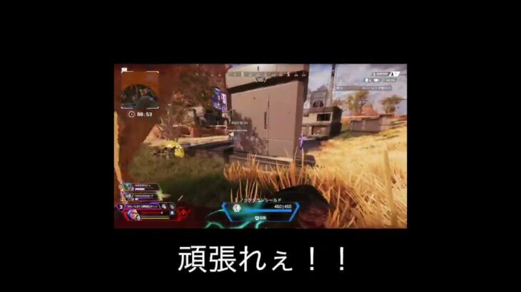 【APEX】まったく役に立たないまま勝った