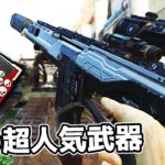 超人気武器だった『R-301』の底力を見せようじゃないか…【APEX LEGENDS】