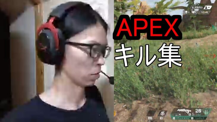 APEX　キル集