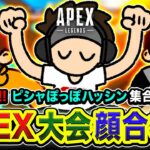 【APEX LEGENDS】顔合わせキター!!!!  おっす!!!「ピシャぽっぽハッシン」出動ッスね!!!! ドンピシャ, kinako  【ハセシン】Apex Legends