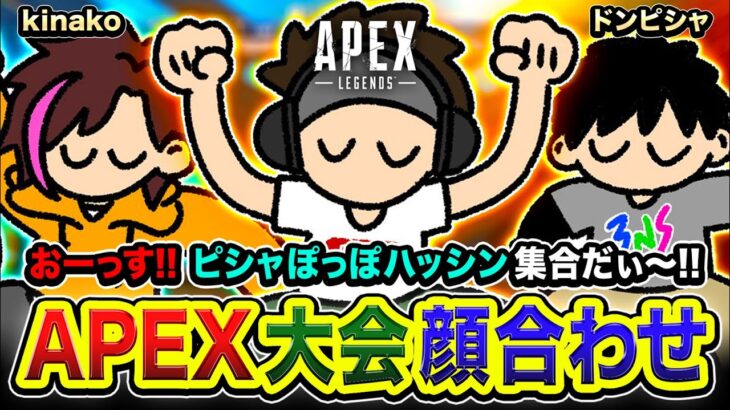 【APEX LEGENDS】顔合わせキター!!!!  おっす!!!「ピシャぽっぽハッシン」出動ッスね!!!! ドンピシャ, kinako  【ハセシン】Apex Legends