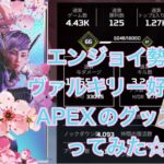 【APEX】ヴァルキリー好きがAPEXのグッズがたまたま売っていたから買ってみた☆