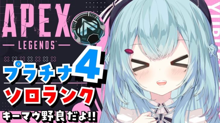 【APEX/プラチナ４】土曜日だぞ！初見さんもおはよう🌞キーマウソロランク！【ゆるりめぐ/Vtuber】