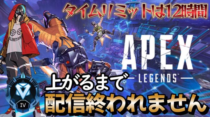 【apex】アプデまであと12時間！間に合うか際どすぎる…1年半ぶりのダイヤ耐久配信！(platinum1)w/ペルヨグ君 のむすけさん【APEX】